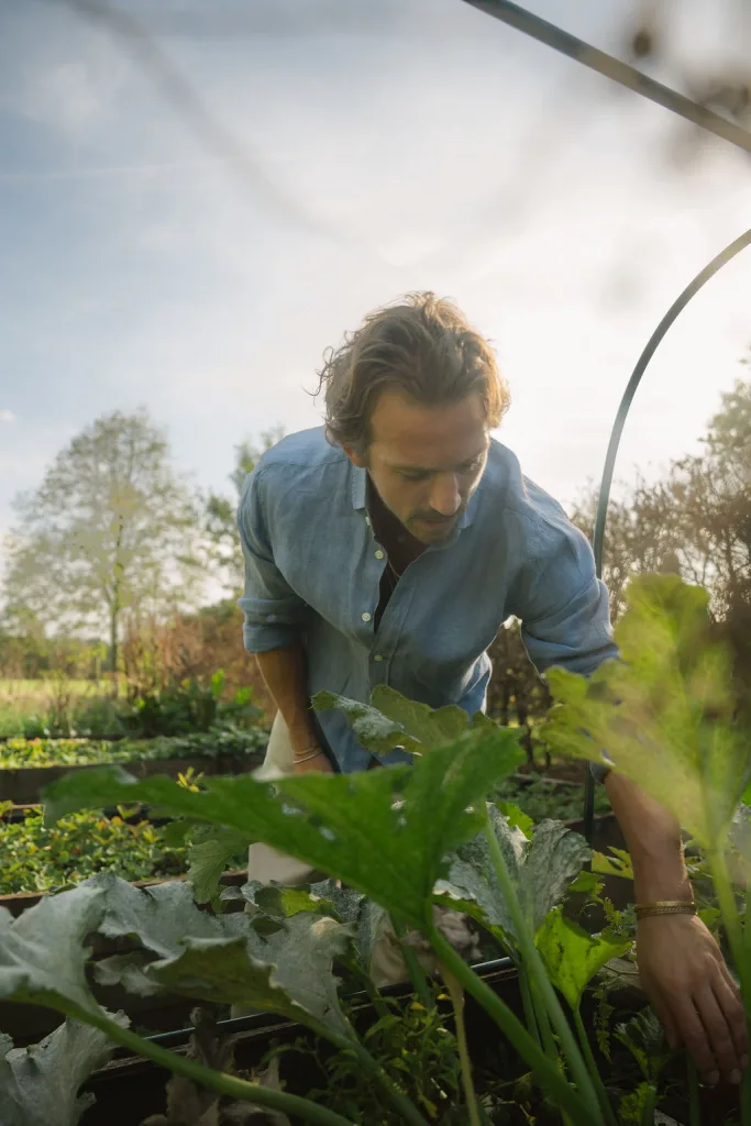 Man werkt in de moestuin tussen de planten